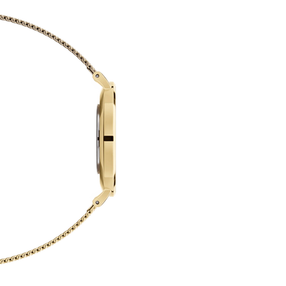 Daniel Wellington Ladies Watch Dw00100346